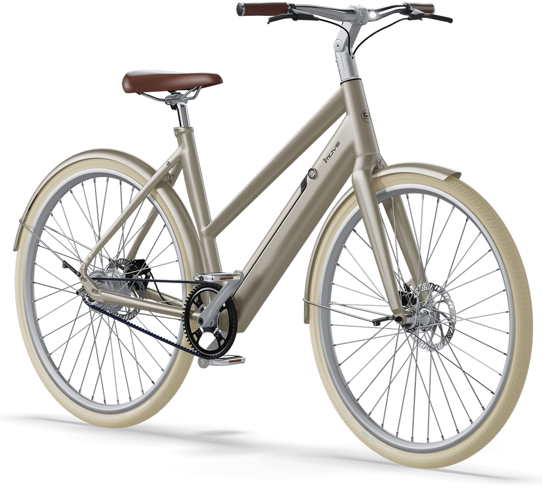 Matt champagne / silver | Frame M+L