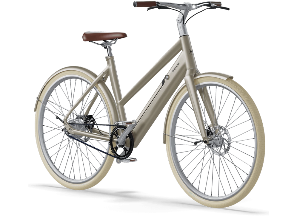 Matt champagne / silver | Frame M+L